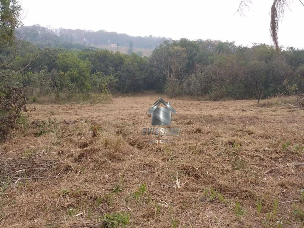 Sítio, 4 hectares - Foto 4
