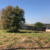 Terreno, 403 m² - Foto 2