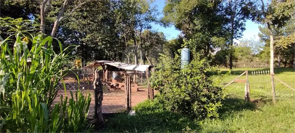 Chácara, 4 quartos, 1 hectares - Foto 5