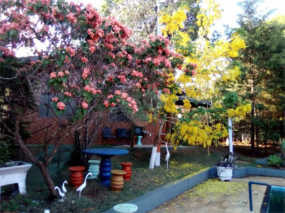 Casa, 6 quartos, 350 m² - Foto 6