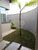 Casa, 2 quartos, 100 m² - Foto 1