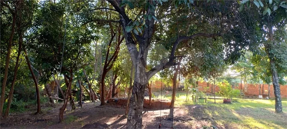 Chácara, 3 quartos, 5000 m² - Foto 2