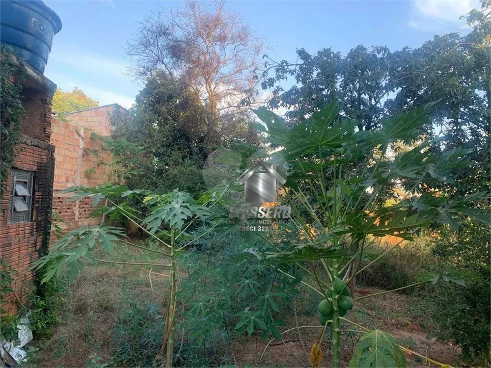 Chácara, 2 quartos, 1860 m² - Foto 15