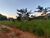 Terreno, 2487 m² - Foto 3