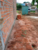 Terreno, 150 m² - Foto 1