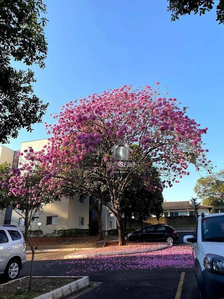 Apartamento, 2 quartos, 67 m² - Foto 14