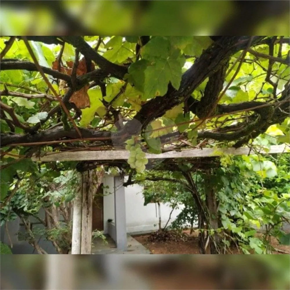 Casa, 3 quartos, 243 m² - Foto 8
