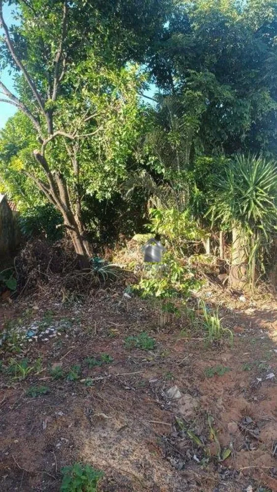 Terreno, 484 m² - Foto 4