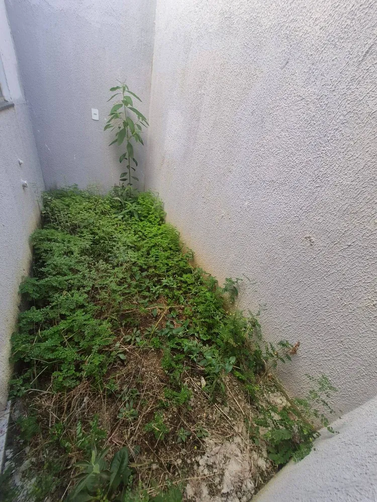 Apartamento, 2 quartos - Foto 10