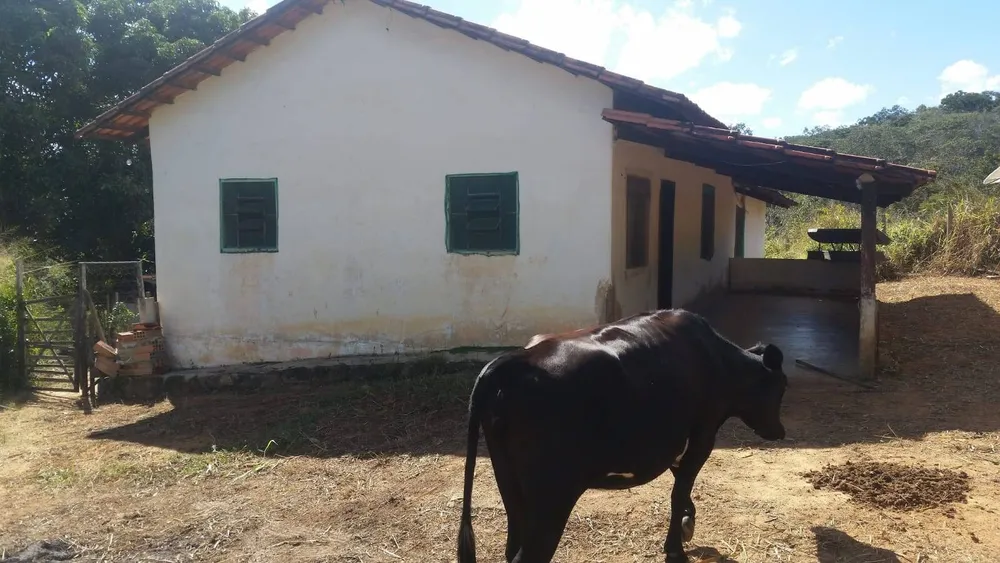 Casa, 5 quartos - Foto 1