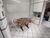 Apartamento, 2 quartos, 70 m² - Foto 8