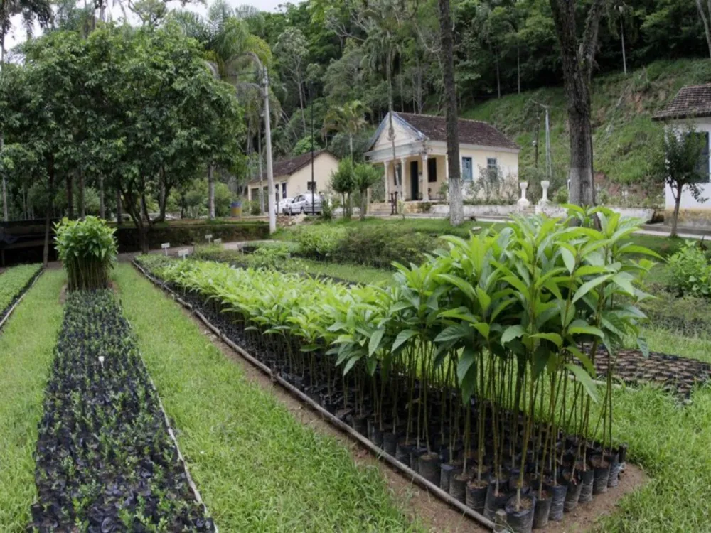 Casa, 3 quartos, 198 m² - Foto 7