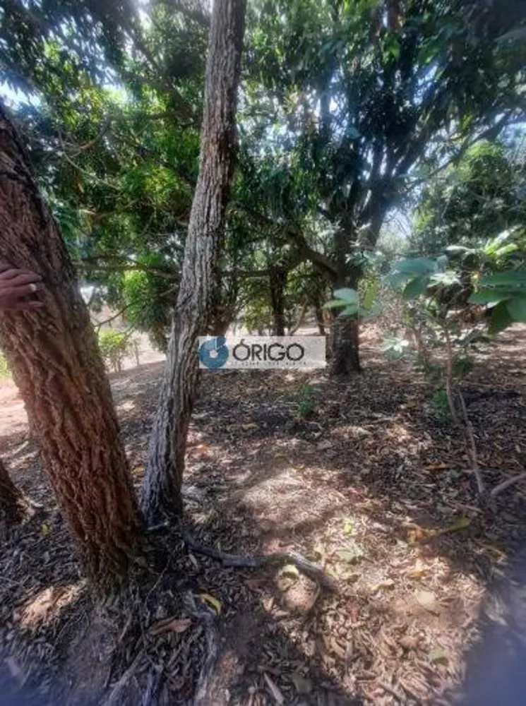 Terreno, 5000 m² - Foto 3