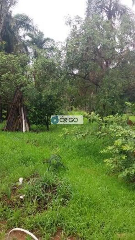 Terreno, 5000 m² - Foto 4