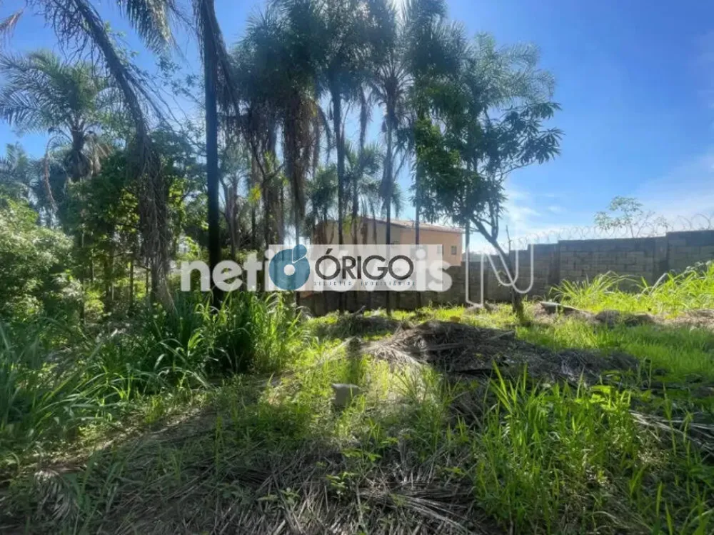 Terreno, 1000 m² - Foto 4