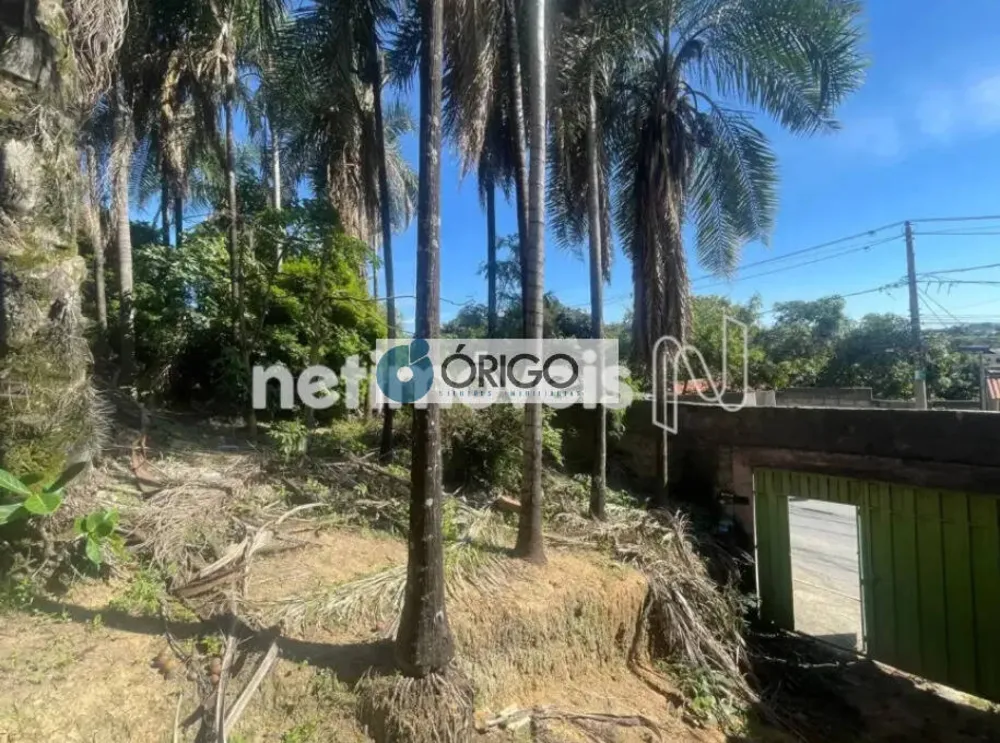 Terreno, 1000 m² - Foto 3