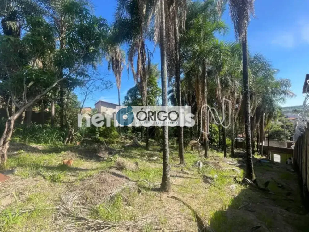 Terreno, 1000 m² - Foto 2