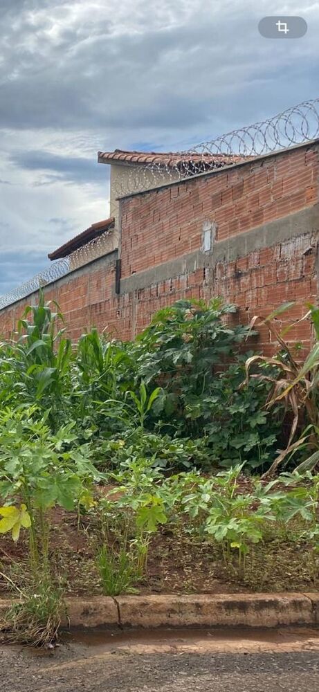 Terreno, 250 m² - Foto 1