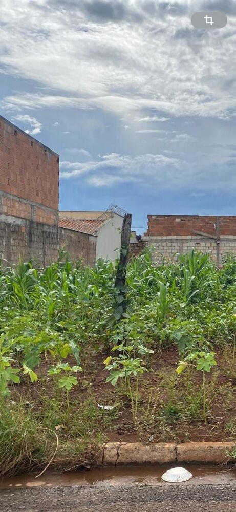 Terreno, 250 m² - Foto 2