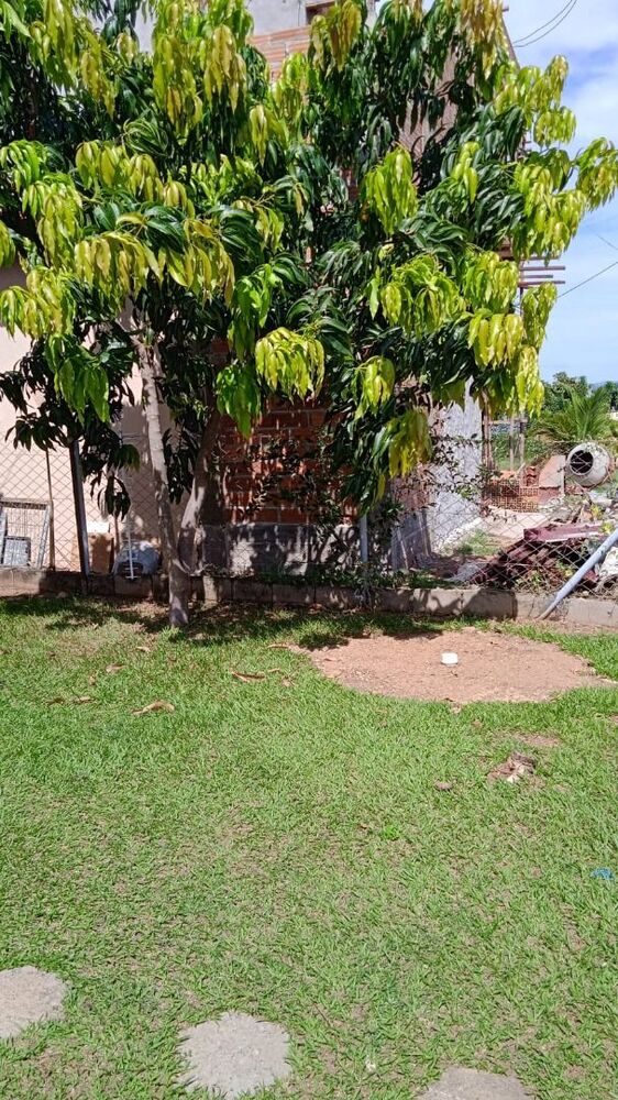 Chácara à venda com 3 quartos, 276M2 - Foto 2