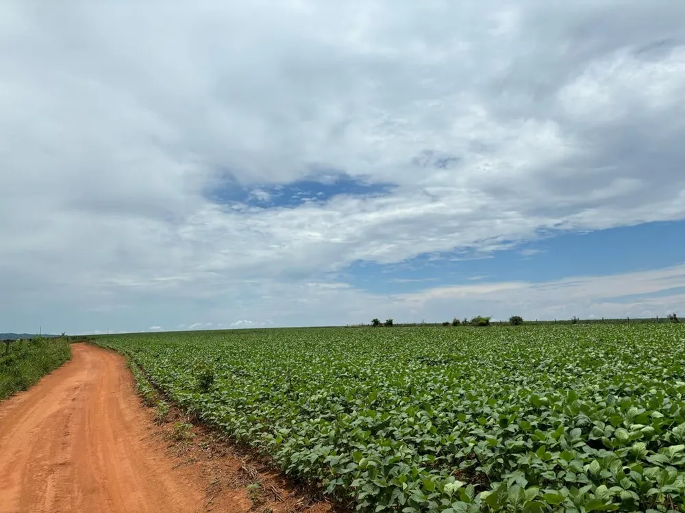 Fazenda, 10000 m² - Foto 5