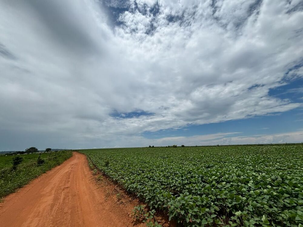 Fazenda, 10000 m² - Foto 3