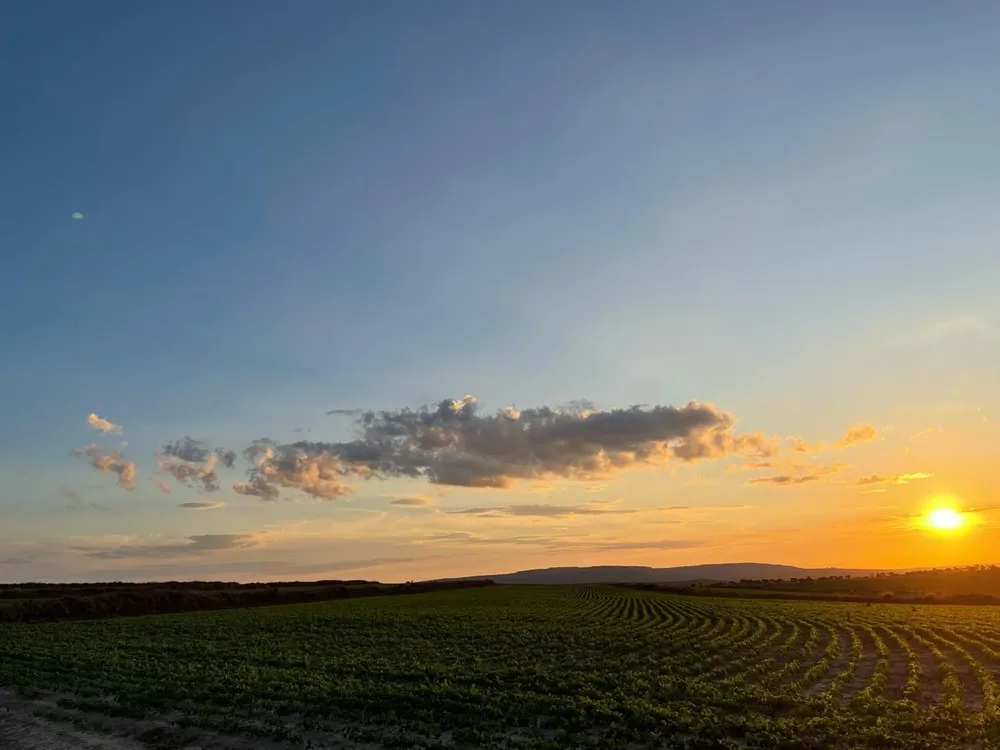 Fazenda, 10000 m² - Foto 1