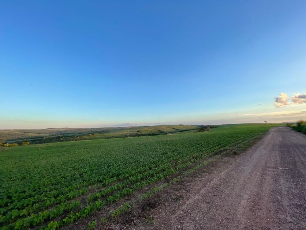 Fazenda, 10000 m² - Foto 1