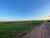 Fazenda-Sítio-Chácara, 10000 m² - Foto 1
