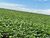 Fazenda-Sítio-Chácara, 10000 m² - Foto 2