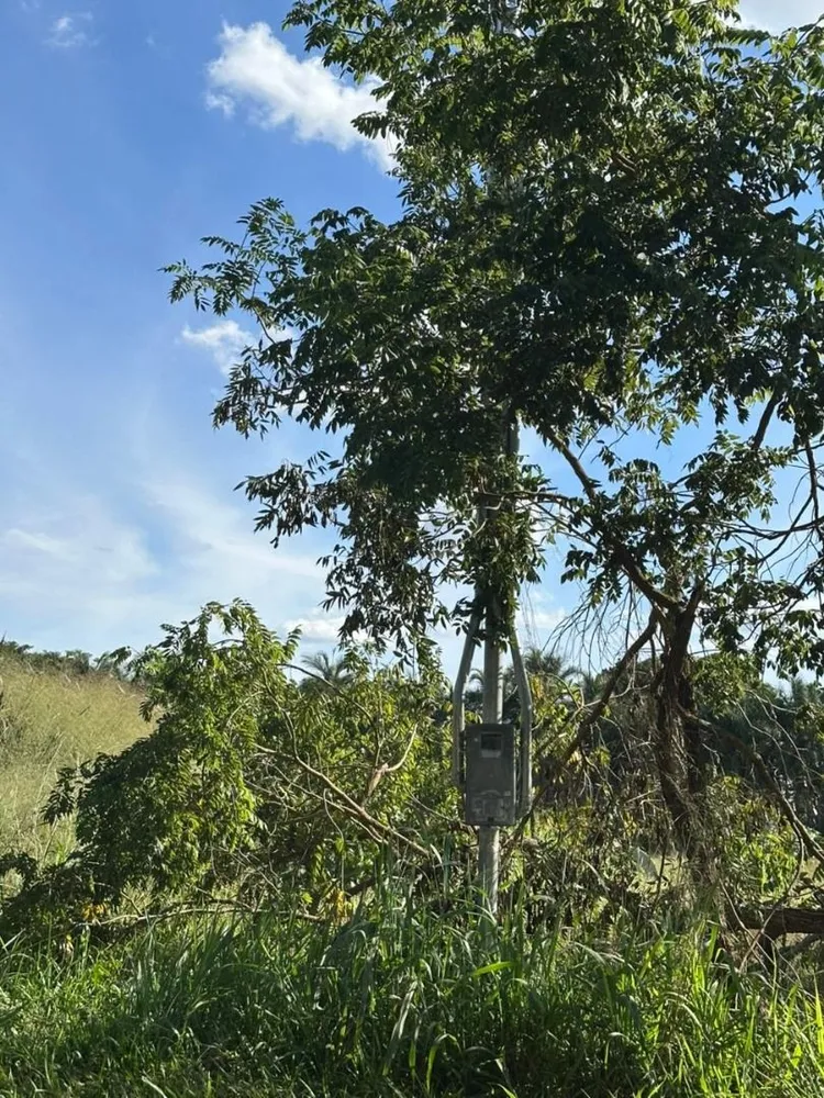 Loteamento e Condomínio, 5000 m² - Foto 2