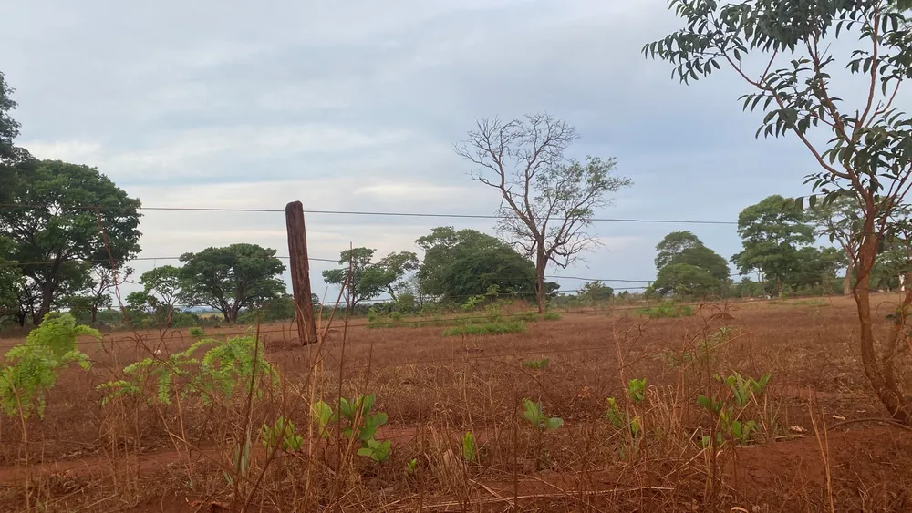 Terreno, 7260 hectares - Foto 3