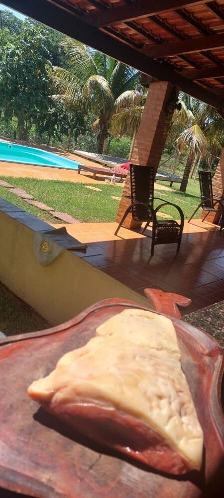Chácara à venda com 4 quartos, 1100M2 - Foto 5