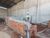 Depósito-Galpão, 600 m² - Foto 2