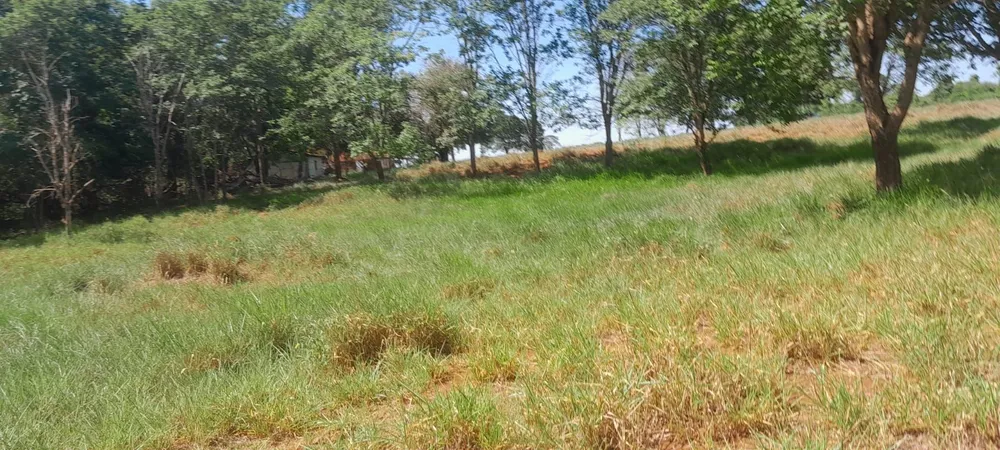 Chácara, 1 quarto, 48 m² - Foto 4