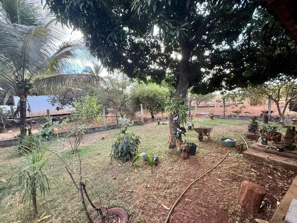 Chácara, 4 quartos, 5000 m² - Foto 3
