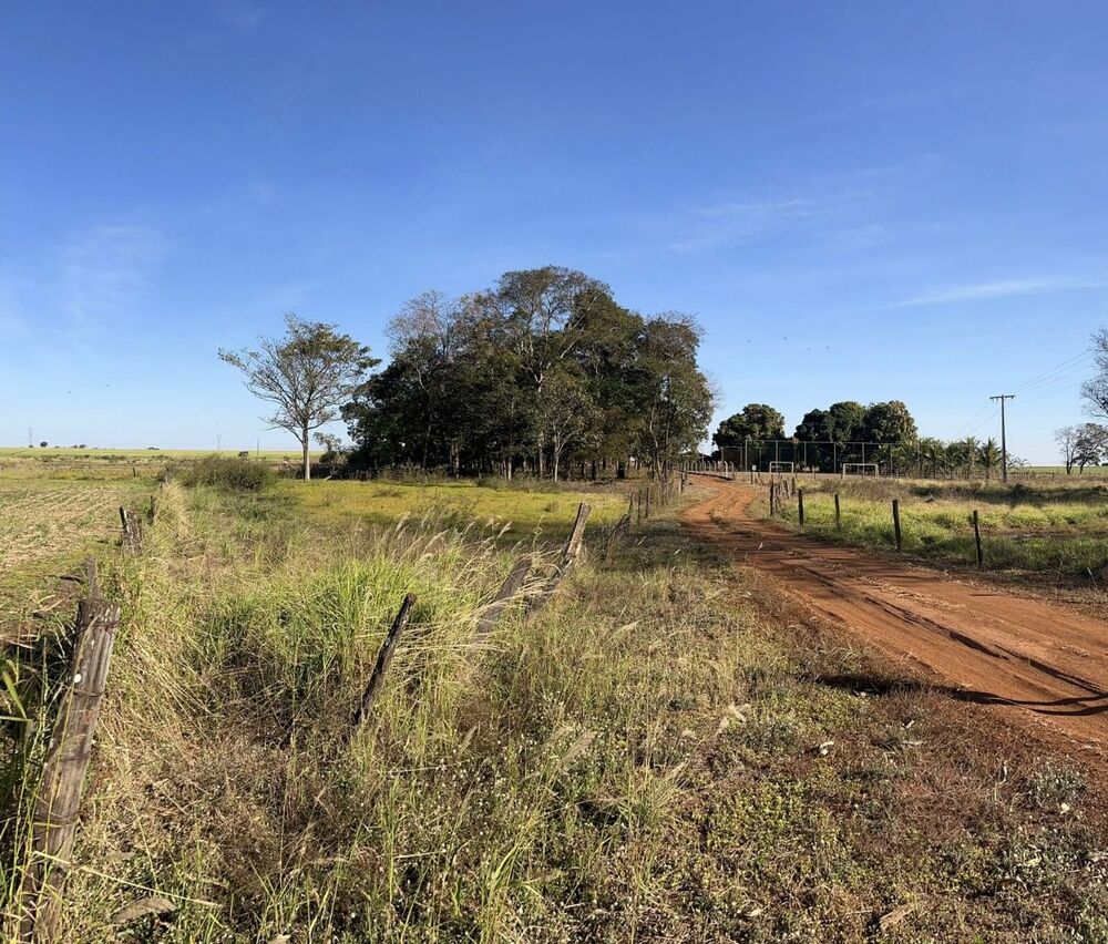 Sítio à venda com 2 quartos, 1M2 - Foto 4