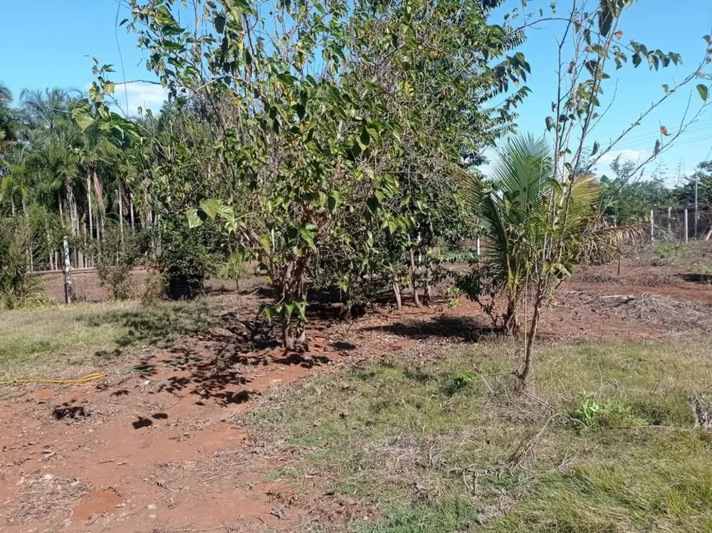 Terreno, 1000 m² - Foto 4