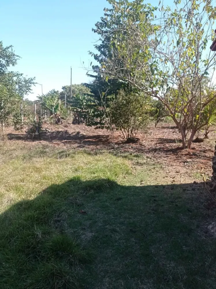 Terreno, 1000 m² - Foto 2