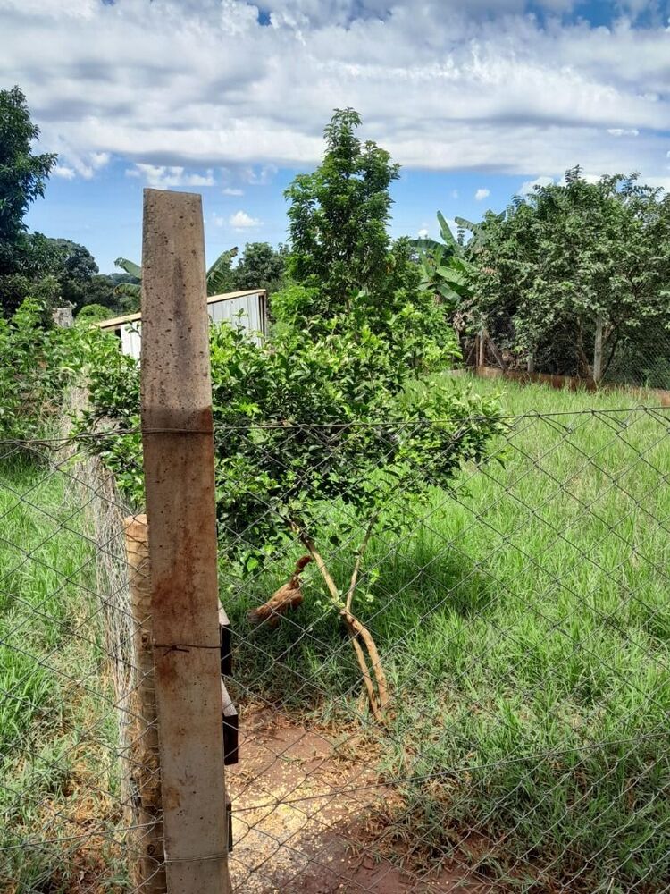 Chácara à venda com 3 quartos, 120m² - Foto 7