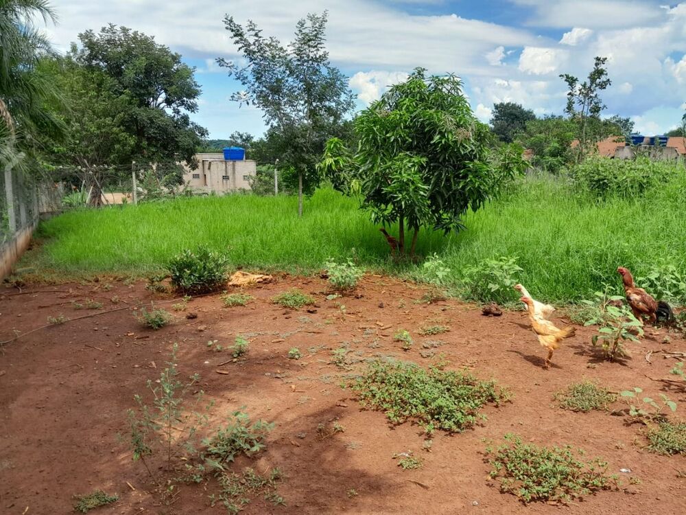 Chácara à venda com 3 quartos, 120m² - Foto 8