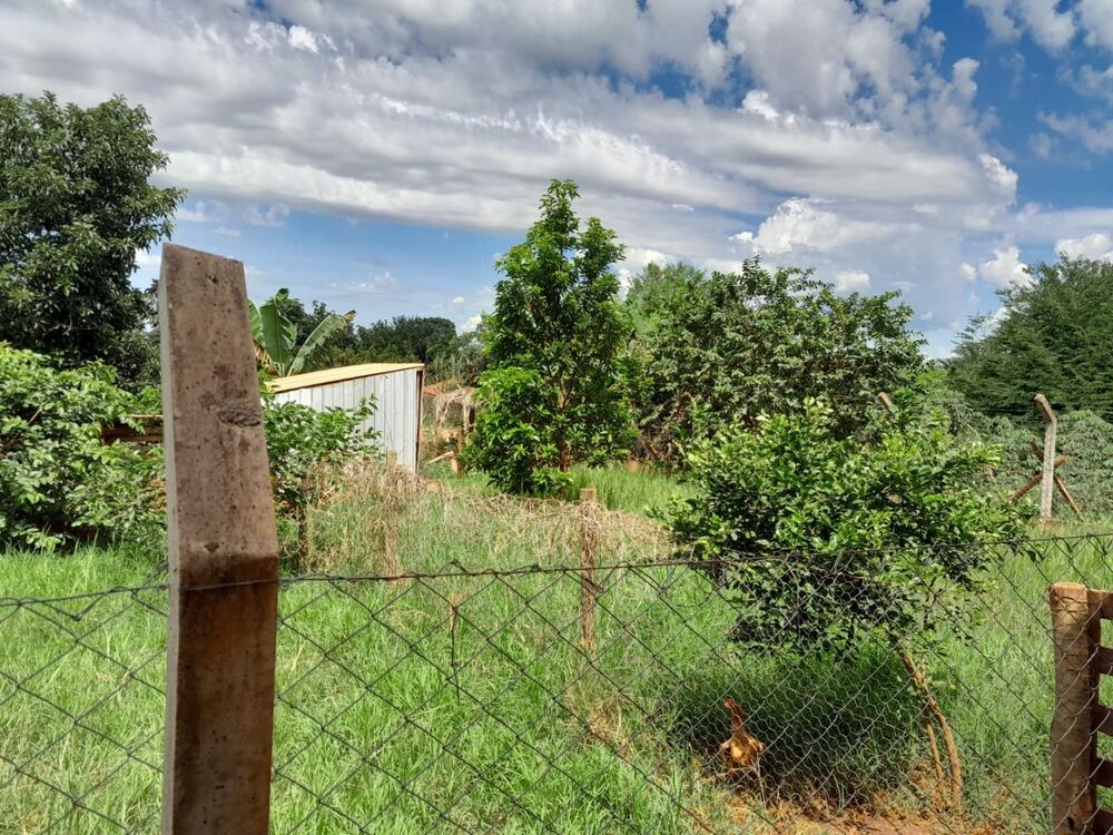 Chácara à venda com 3 quartos, 120m² - Foto 6