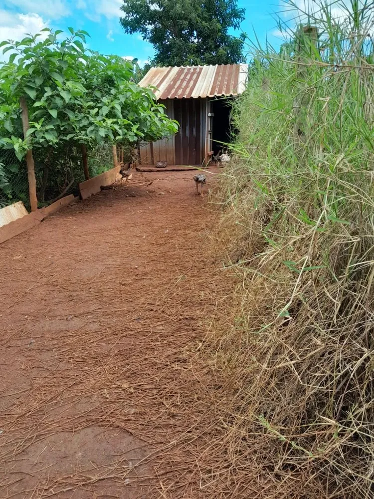 Chácara, 3 quartos, 2000 m² - Foto 15