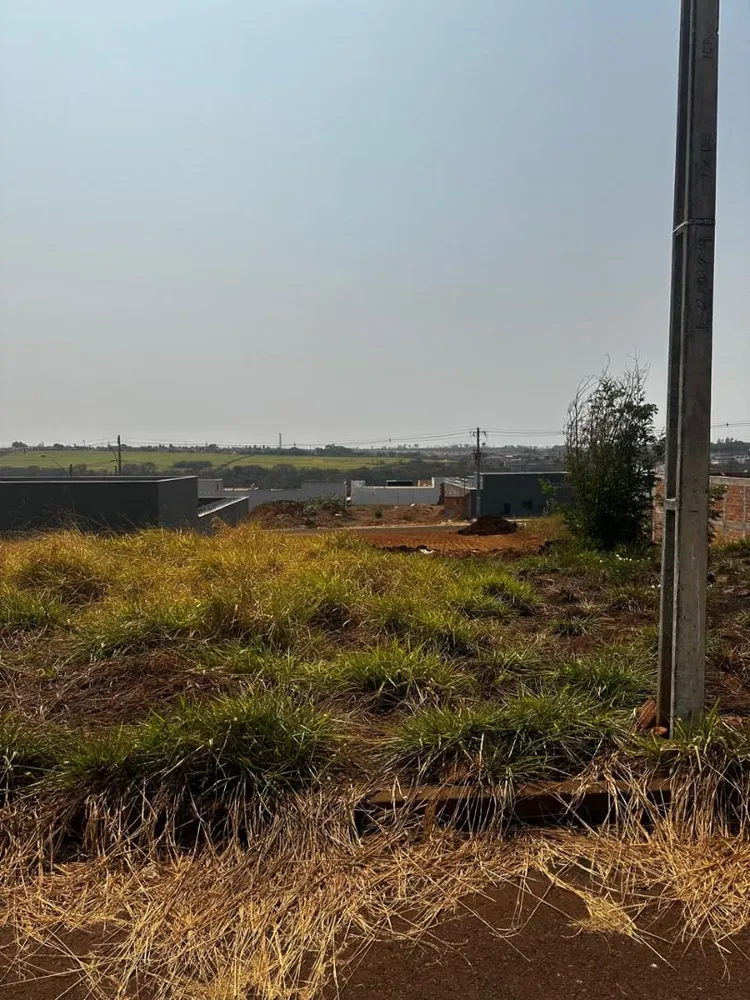 Terreno, 250 m² - Foto 1