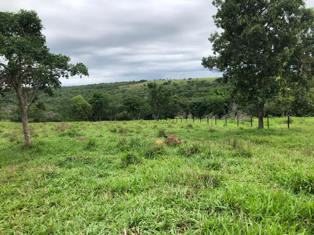 Fazenda, 5808 m² - Foto 8