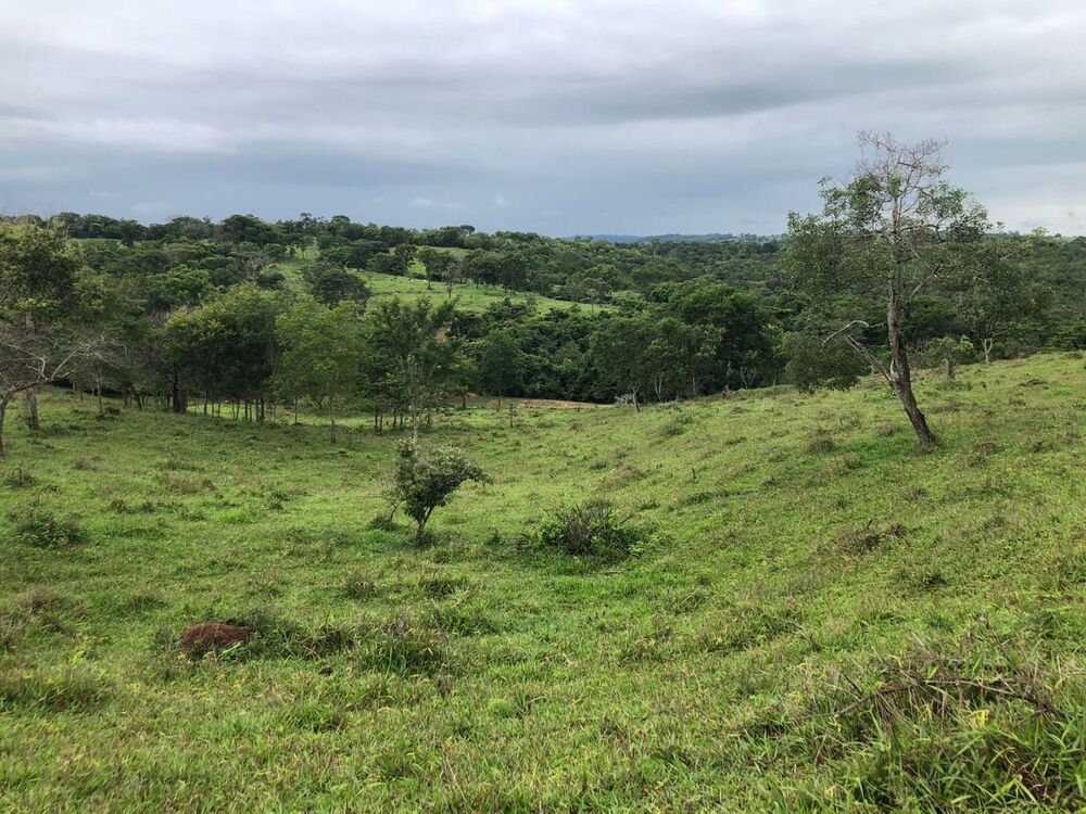 Fazenda, 5808 m² - Foto 1