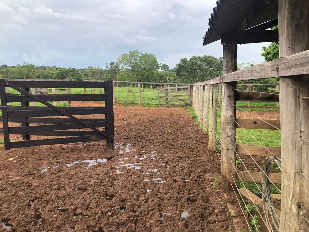 Fazenda, 5808 m² - Foto 6