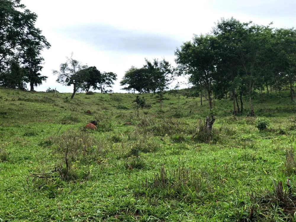 Fazenda, 5808 m² - Foto 10