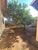 Casa, 3 quartos, 196 m² - Foto 4