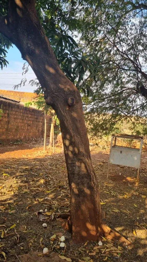 Terreno, 200 m² - Foto 4